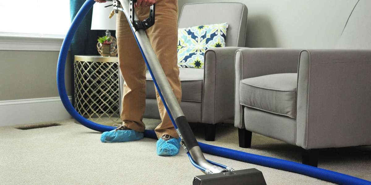 The Comprehensive Guide to Carpet Cleaning